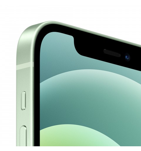 Apple iPhone 12 15,5 cm (6.1") Doppia SIM iOS 14 5G 128 GB Verde