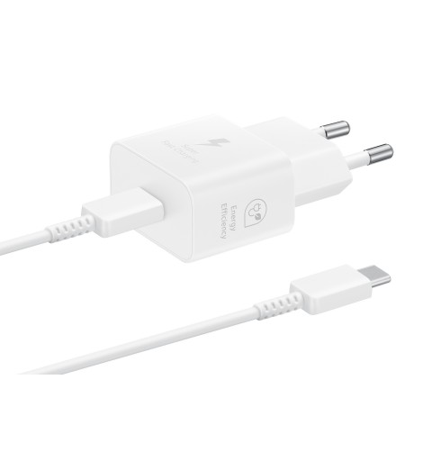 Samsung Caricabatterie Super Fast Charging (25W) con cavo da USB Type-C a USB Type-C