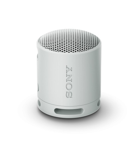 Sony SRS-XB100 Altavoz monofónico portátil Gris