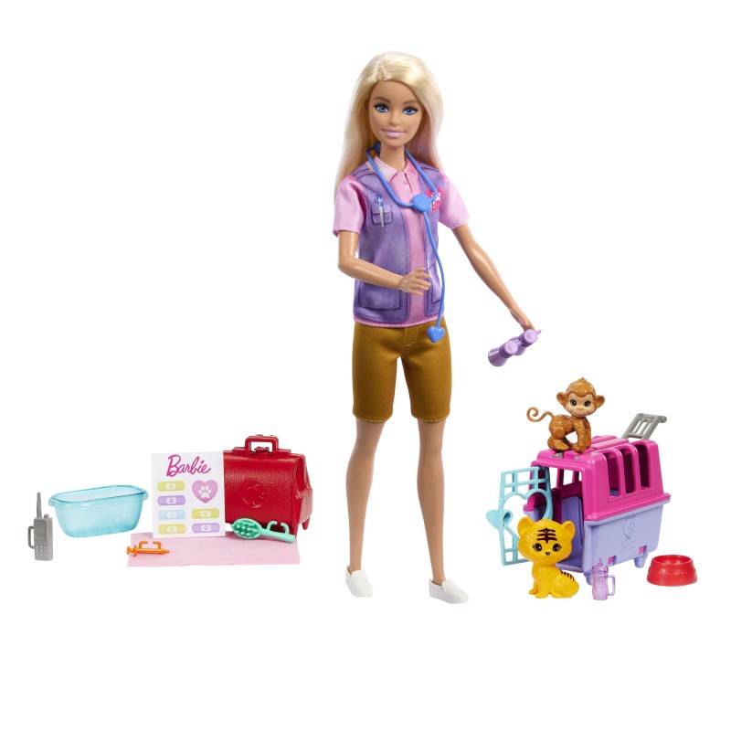 Barbie Doll and Accessories