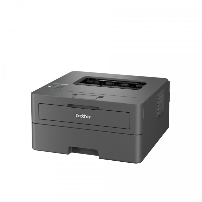 Brother HL-L2400DWE Stampante laser monocromatica , 6 mesi di toner incluso con EcoPro