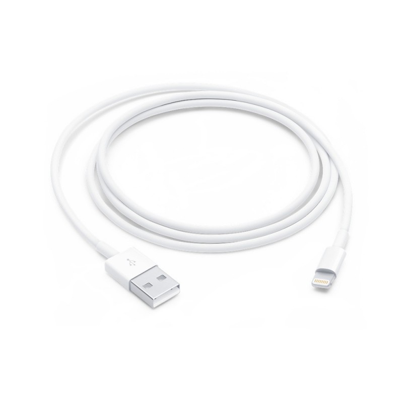 Apple Lightning auf USB Kabel (1 m)