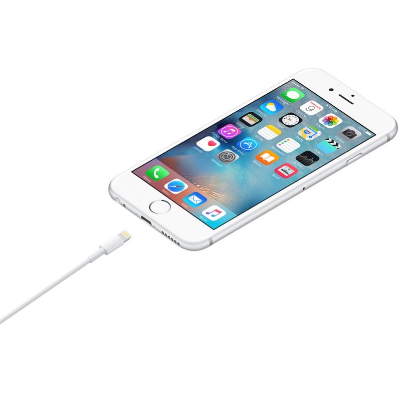 Apple Cable de conector Lightning a USB (1 m)