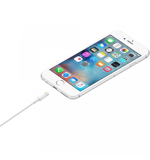 Apple Câble Lightning vers USB (1 m)