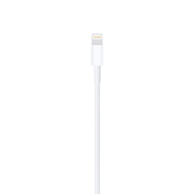Apple Câble Lightning vers USB (1 m)