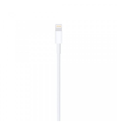 Apple Cavo da Lightning a USB (1 m)
