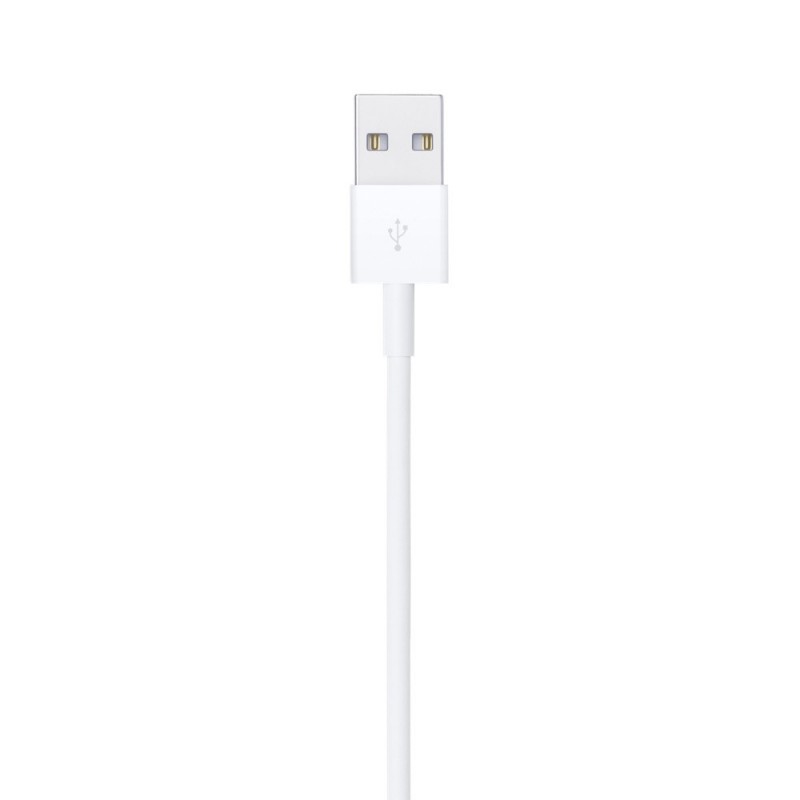 Apple Cavo da Lightning a USB (1 m)
