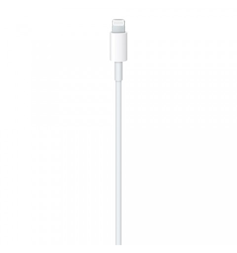 Apple Câble USB-C vers Lightning (1 m)
