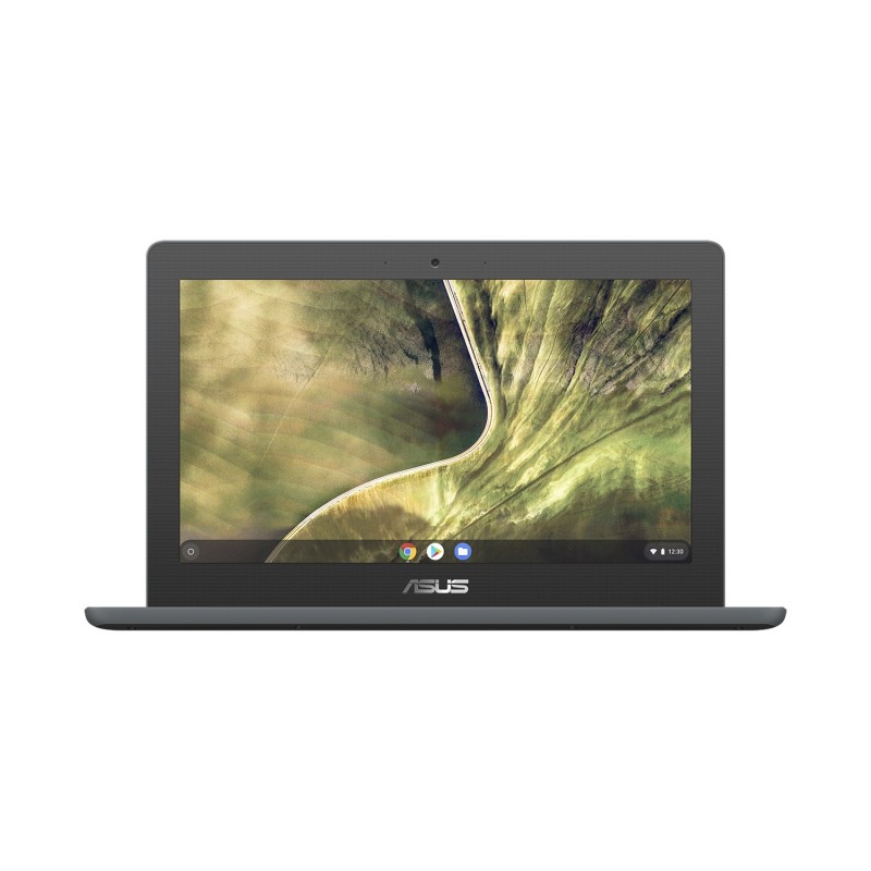 ASUS Chromebook C204MA-GJ0417 Intel® Celeron® N N4020 29.5 cm (11.6") HD 4 GB LPDDR4-SDRAM 64 GB eMMC Wi-Fi 5 (802.11ac)