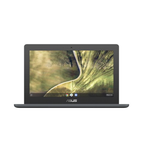 ASUS Chromebook C204MA-GJ0417 Intel® Celeron® N N4020 29,5 cm (11.6") HD 4 GB LPDDR4-SDRAM 64 GB eMMC Wi-Fi 5 (802.11ac)