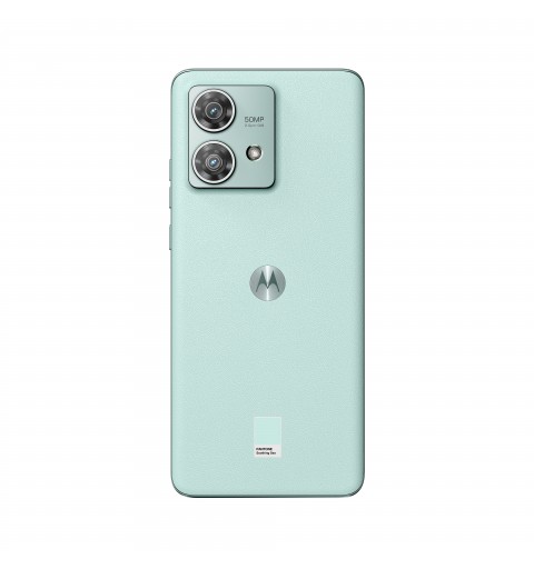 Motorola Edge 40 Neo 16,6 cm (6.55") Dual-SIM Android 13 5G USB Typ-C 12 GB 256 GB 5000 mAh Grün