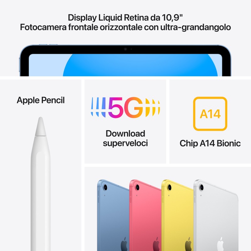 Apple iPad 5G TD-LTE & FDD-LTE 256 Go 27,7 cm (10.9") Wi-Fi 6 (802.11ax) iPadOS 16 Rose