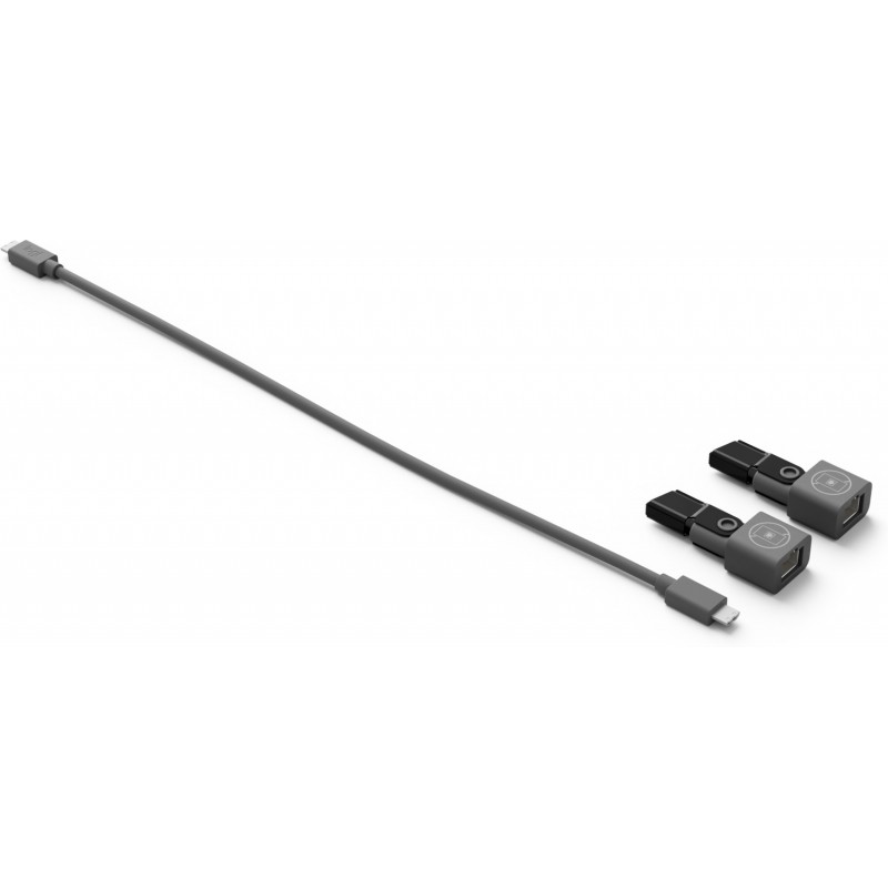 Logitech Rally Mic Pod CAT Coupler Verlängerungskabel Graphit