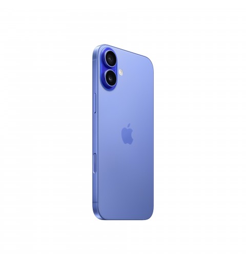 Apple iPhone 16 Plus 17 cm (6.7") Dual-SIM iOS 18 5G USB Typ-C 256 GB Blau