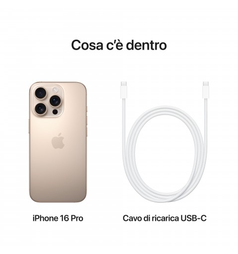 Apple iPhone 16 Pro 16 cm (6.3") Double SIM iOS 18 5G USB Type-C 256 Go Sable