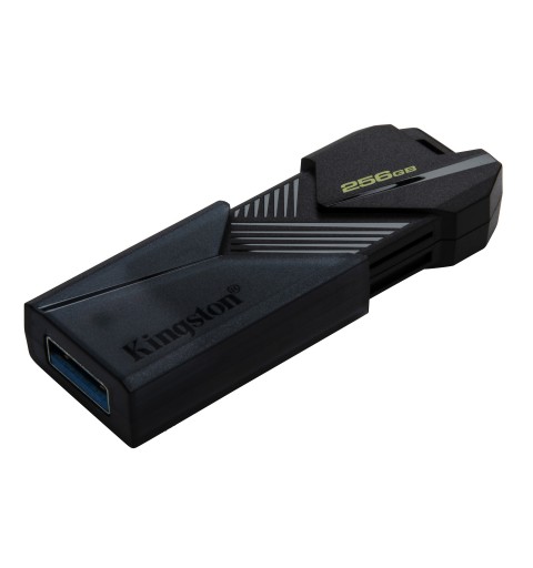 Kingston Technology DataTraveler 256GB Portable USB 3.2 Gen 1 Exodia Onyx