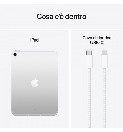 Apple iPad 5G LTE-TDD & LTE-FDD 256 GB 27,9 cm (11") Wi-Fi 6 (802.11ax) iPadOS 18 Plata