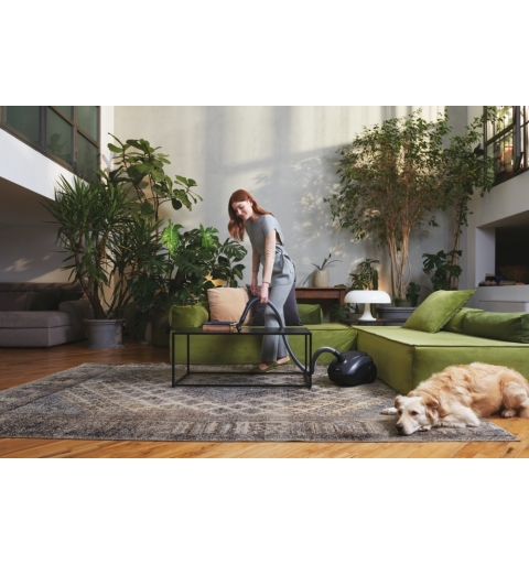 Hoover HE120PET 011 2,5 L A cilindro Secco 700 W Sacchetto per la polvere
