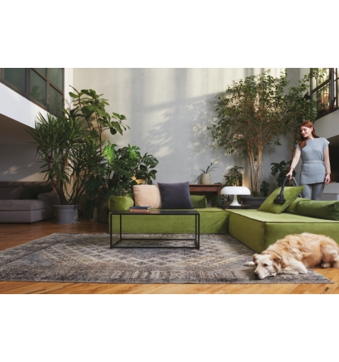 Hoover HE120PET 011 2,5 L Aspirateur réservoir cylindrique Sec 700 W Sac à poussière