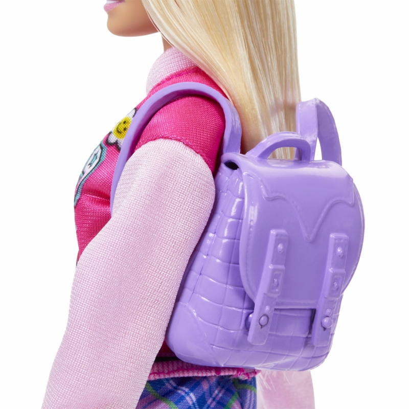 Barbie Dolls and Accessories