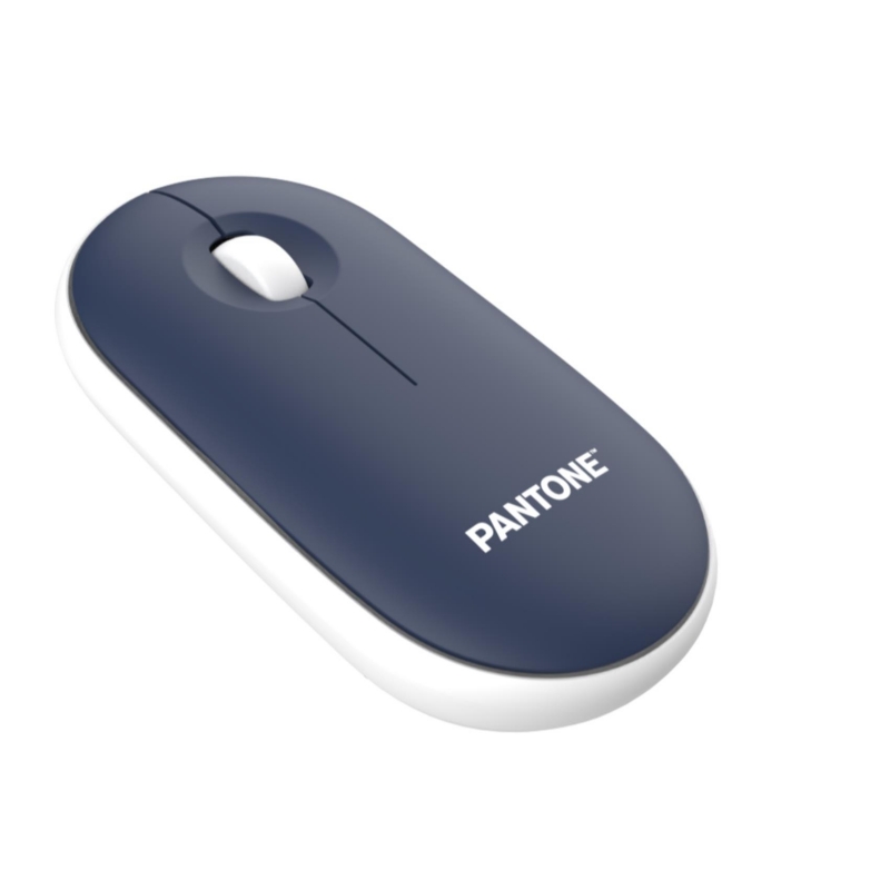 Pantone PT-MS001N1 souris Bureau Droitier 1200 DPI