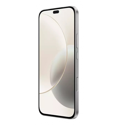 Honor 400 Lite 17 cm (6.7") SIM doble MagicOS 9.0 5G MicroUSB 8 GB 256 GB 5230 mAh Gris