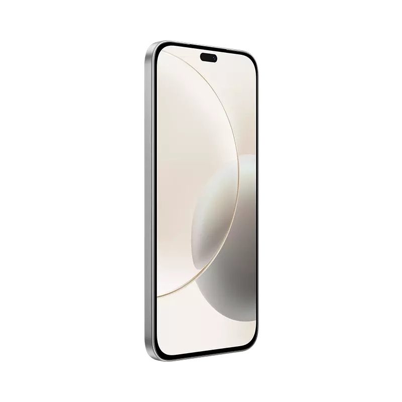 Honor 400 Lite 17 cm (6.7") SIM doble MagicOS 9.0 5G MicroUSB 8 GB 256 GB 5230 mAh Gris