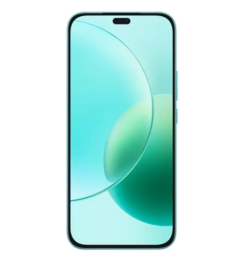 Honor 400 Lite 17 cm (6.7") Dual SIM MagicOS 9.0 5G Micro-USB 8 GB 256 GB 5230 mAh Green
