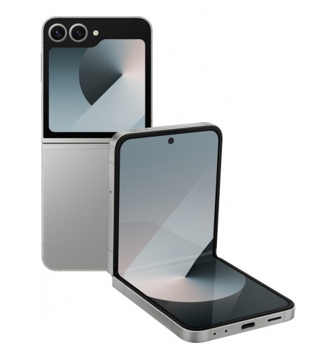 Wind Tre Samsung Galaxy Z Flip6 17 cm (6.7") Double SIM Android 14 5G USB Type-C 12 Go 256 Go 4000 mAh Argent