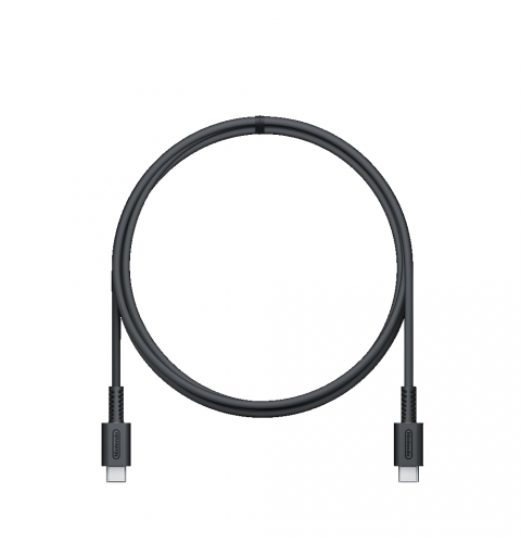 Nintendo Switch 2 AC Adapter