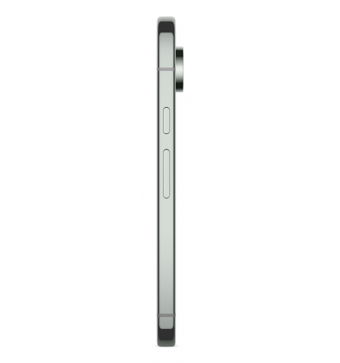 Google Pixel 9 Pro 16 cm (6.3") Double SIM Android 14 5G USB Type-C 16 Go 256 Go 4700 mAh Vert
