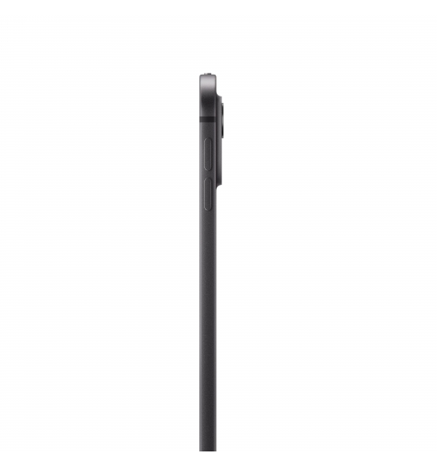 Apple iPad 13-inch Pro WiFi + Cellular 256GB with Standard glass - Space Black