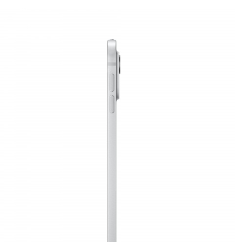 Apple iPad Pro 5G Apple M TD-LTE & FDD-LTE 256 Go 33 cm (13") 8 Go Wi-Fi 6E (802.11ax) iPadOS 17 Argent