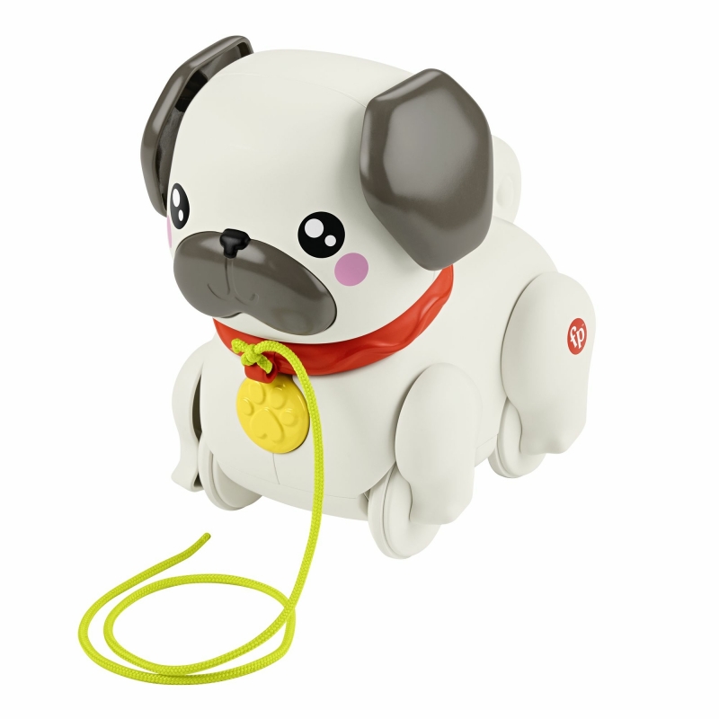 Fisher-Price HTW94 Schiebe- & Ziehspielzeug