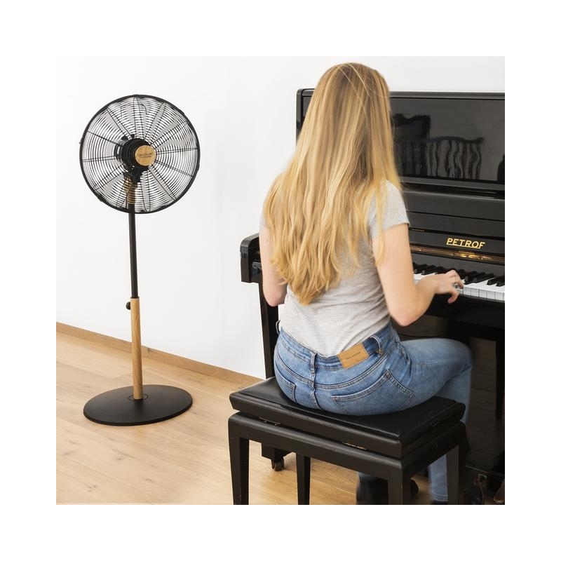 Cecotec 08233 ventilatore Nero, Legno
