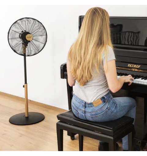 Cecotec 08233 household fan Black, Wood