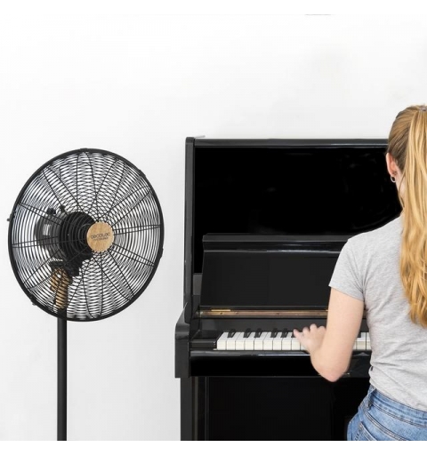 Cecotec 08233 household fan Black, Wood