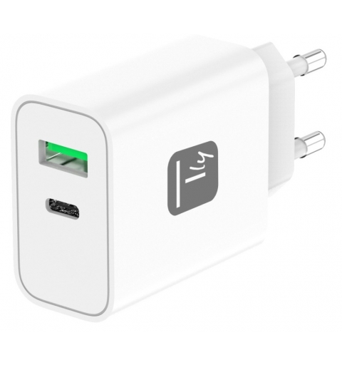 Techly IPW-USB-30WACG mobile device charger Universal White AC Fast charging Indoor