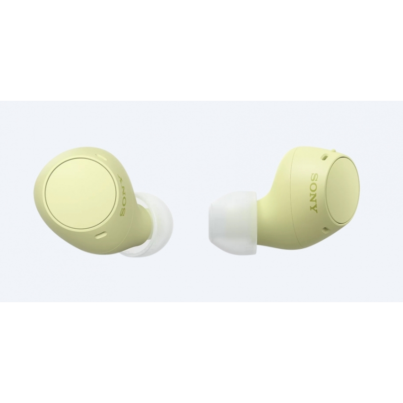 Sony WF-C510 | Cuffie True Wireless - Suono di alta qualità, Equalizzatore personalizzabile, Design Confortevole, Batteria da