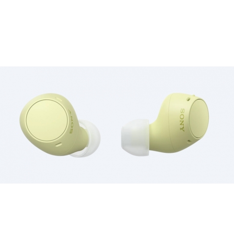 Sony WF-C510 | Cuffie True Wireless - Suono di alta qualità, Equalizzatore personalizzabile, Design Confortevole, Batteria da