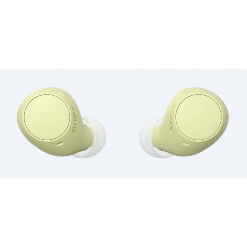 Sony WF-C510 | Cuffie True Wireless - Suono di alta qualità, Equalizzatore personalizzabile, Design Confortevole, Batteria da
