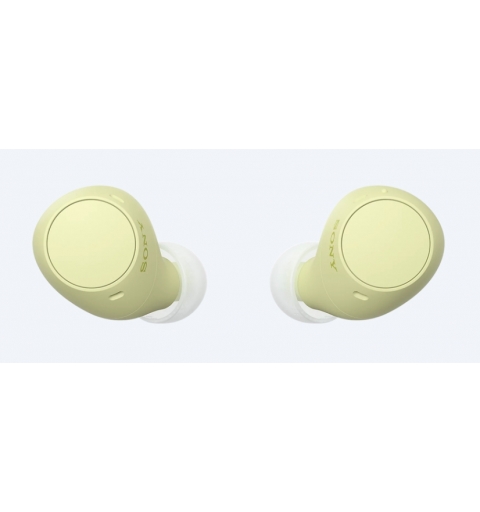 Sony WF-C510 | Cuffie True Wireless - Suono di alta qualità, Equalizzatore personalizzabile, Design Confortevole, Batteria da