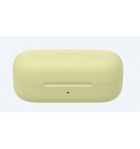 Sony WF-C510 | Cuffie True Wireless - Suono di alta qualità, Equalizzatore personalizzabile, Design Confortevole, Batteria da