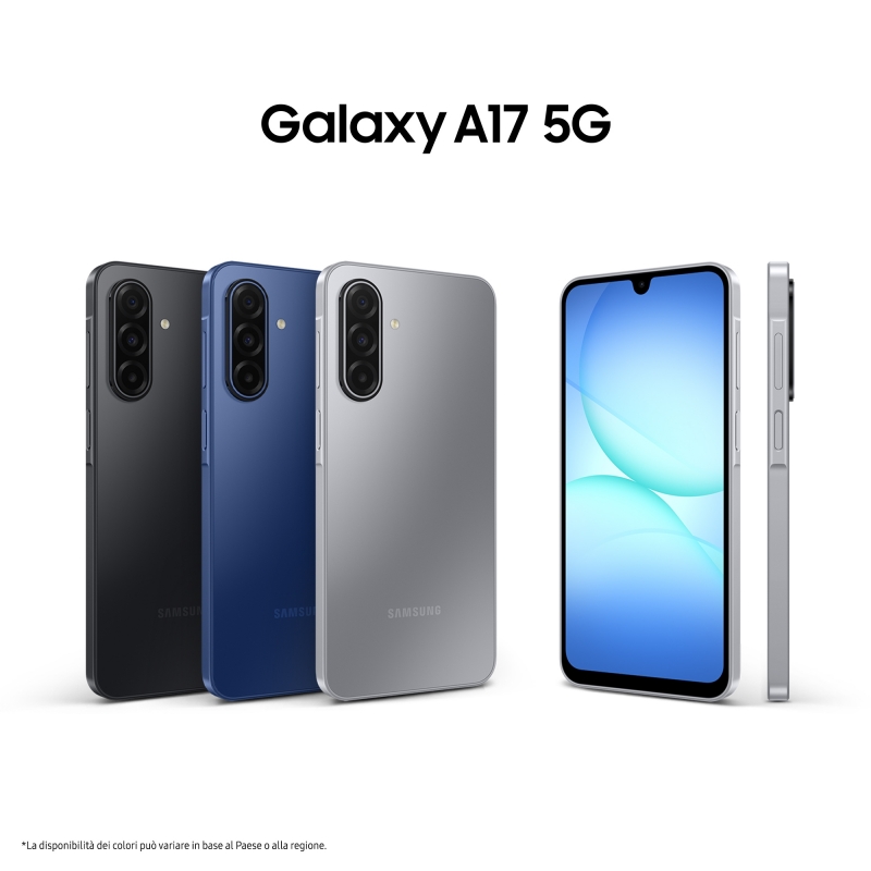 Samsung Galaxy A17 5G 17 cm (6.7") 8 Go 256 Go 5000 mAh Gris