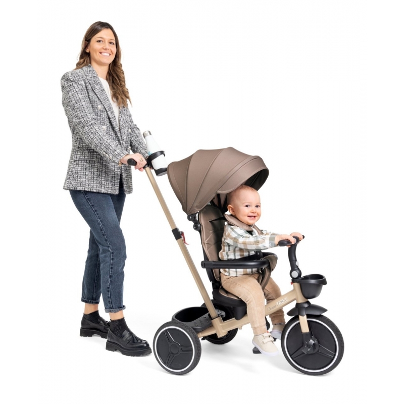 Chicco 00012136100000 tricycle Children Push Upright
