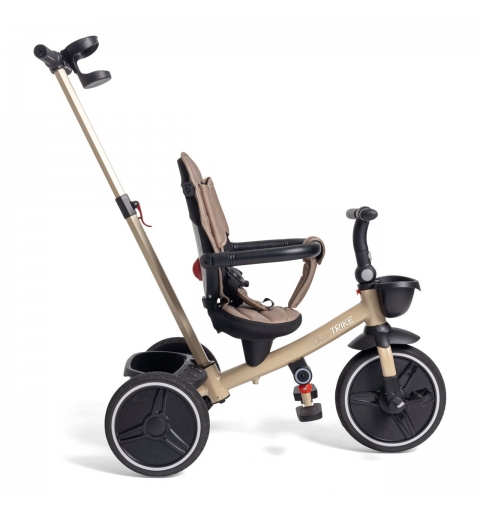 Chicco 00012136100000 tricycle Children Push Upright