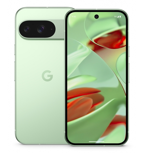Google Pixel 9 16 cm (6.3") Double SIM Android 14 5G USB Type-C 12 Go 128 Go 4700 mAh Vert