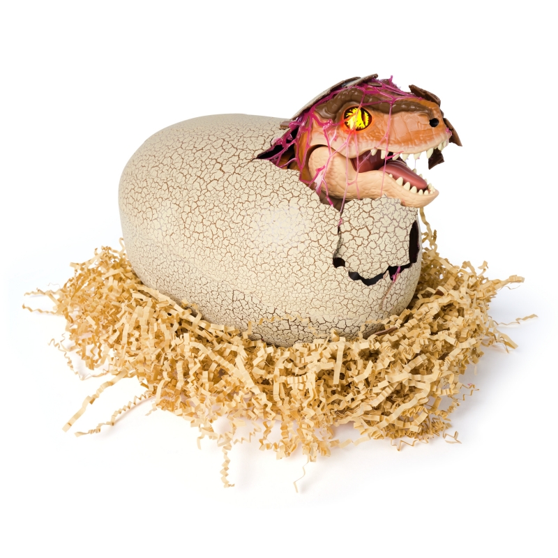 Jurassic World Primal Hatch, Dinosauro Interattivo con Uovo, Fai Schiudere e Addestra il Tuo Cucciolo di Dinosauro con Oltre