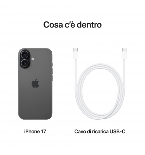 Apple iPhone 17 256GB Black