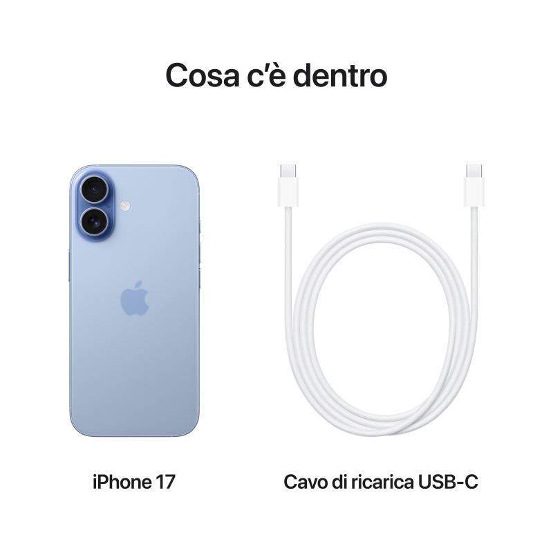 Apple iPhone 17 16 cm (6.3") Double SIM iOS 26 5G USB Type-C 256 Go Bleu